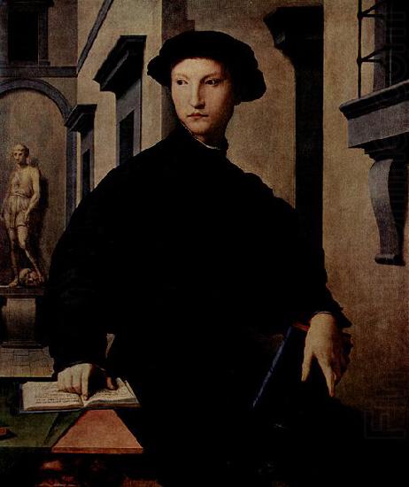 Angelo Bronzino Portrat des Ugolino Martelli. china oil painting image